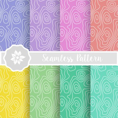 Zebra doğa kesintisiz dizi