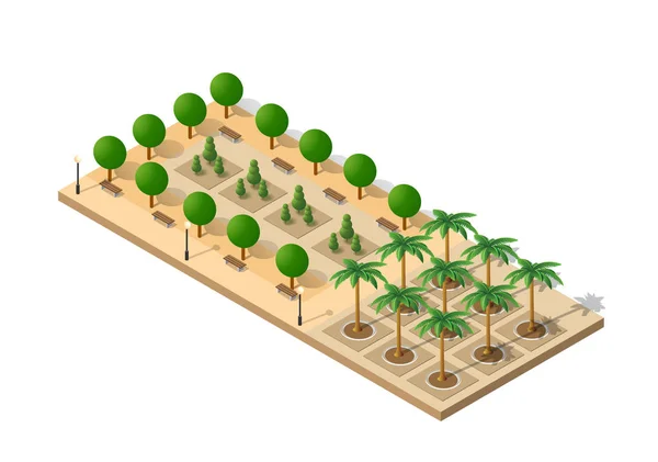 Isometrisk Palm Park Med Träd Tredimensionell Stad — Stock vektor