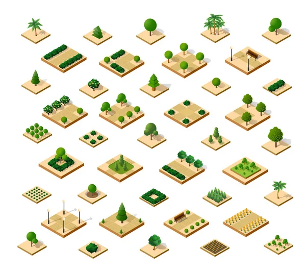 Isometrische Set Desert Park Met Bomen Van Een Driedimensionale Stad — Stockvector