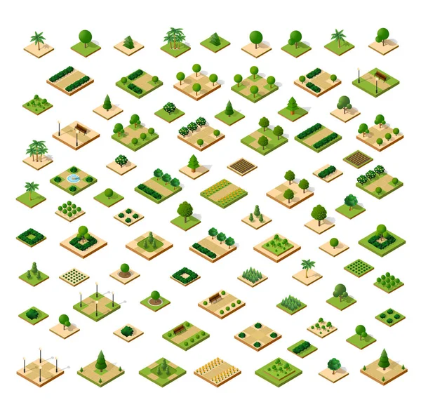 Isometric Set Désert Parc Avec Des Arbres Une Ville Tridimensionnelle — Image vectorielle