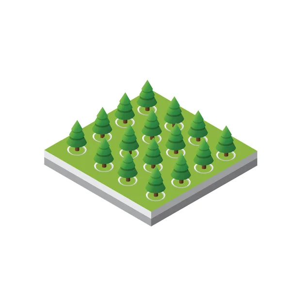 Isometric 3d trees forest — Stock Vector