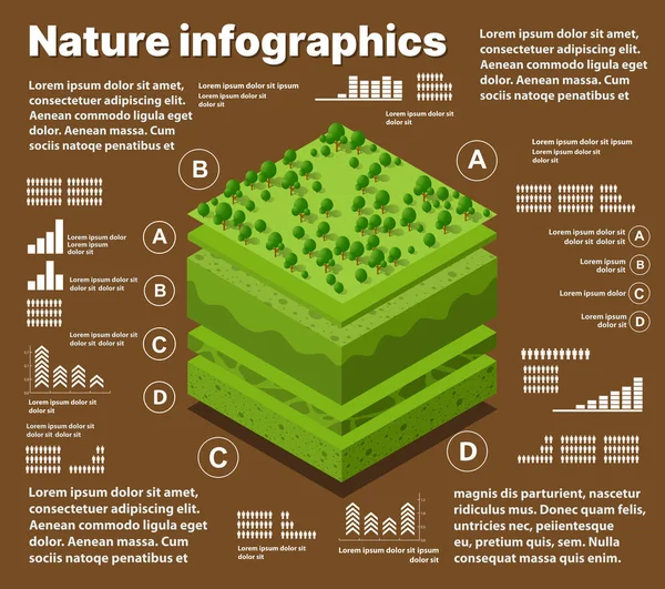 Infografik Natur Geologische und unterirdische Bodenschichten unter der isometrischen — Stockvektor