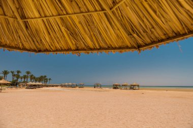 deniz kıyısı arka plan, şemsiye altında göster