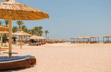 şezlong şemsiye, deniz kıyısı altında arka plan manzara