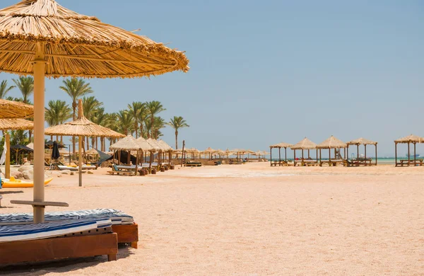 şezlong şemsiye, deniz kıyısı altında arka plan manzara