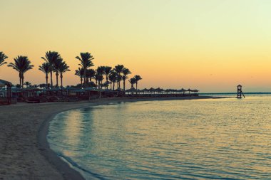 palmiye ağaçları ve arka planda gökyüzü ile deniz kıyısında sabah güneş ışığı