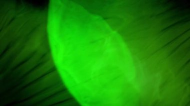 Yeşil duman desenleri bağlantıdaki koyu arka plan