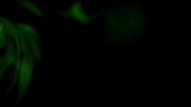 暗い背景で緑の煙パターン接続 — ストック動画