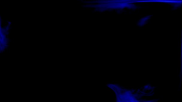 어두운 배경에서 프레임을 — 비디오