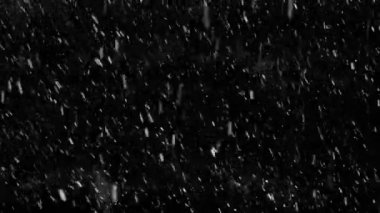 siyah arka planda izole kar taneleri aşağı düşen