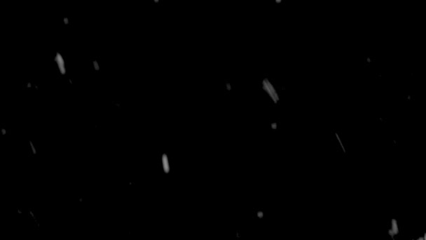 Падение Снежинки Изолированы Черном Фоне — стоковое видео