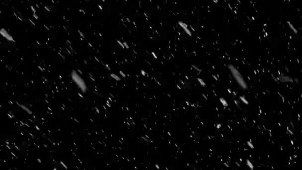 Padající Sněhové Vločky Izolované Černém Pozadí — Stock video