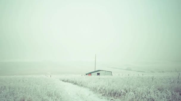 Landsbygdens Vinter Jordbruksmark Landskap Vid Snöiga Väder — Stockvideo