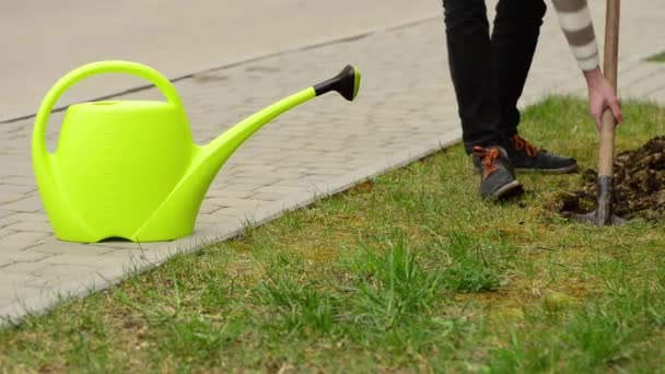 Man Digging Hole Green Street Lawn Plant Seeding — Stock Video