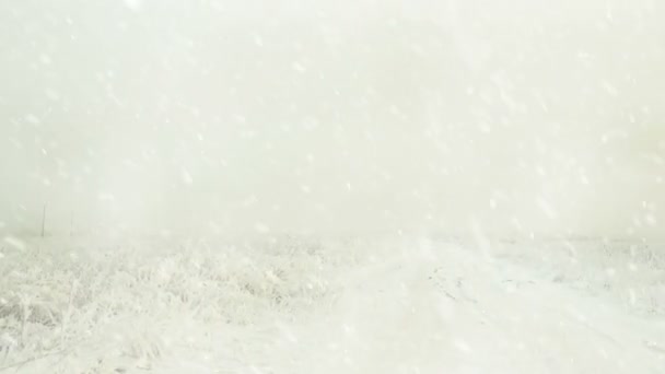 White Out Winter Season Snow Meadow Road — Stock Video