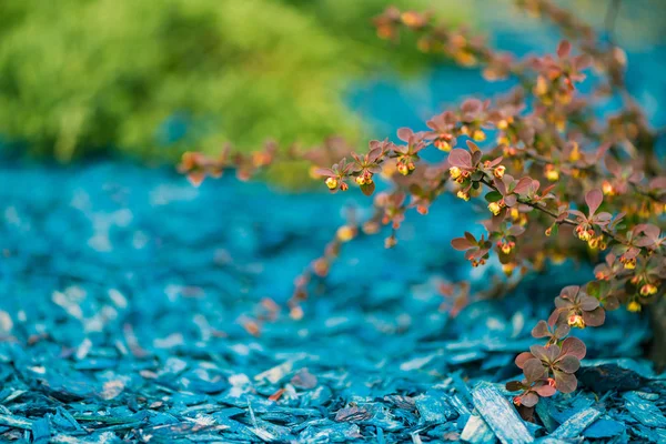 Färgglad Naturlig Dekoration Spring Garden Ground — Stockfoto