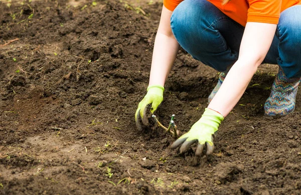 Kvinna Gröna Handskar Plantera Våren Park Gränd Jord Med Ros — Stockfoto