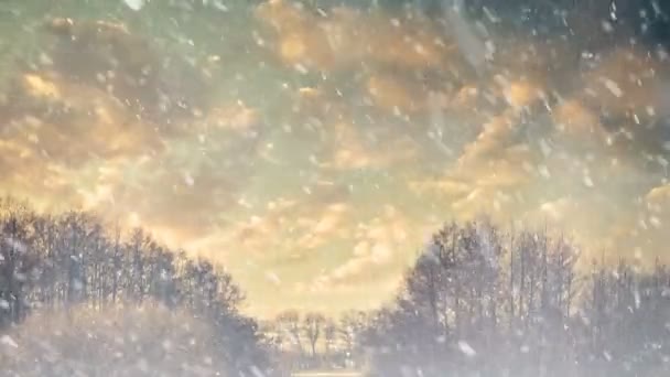 Вертикальное Замедленное Движение Зимней Сельской Дороге Закате Снега — стоковое видео