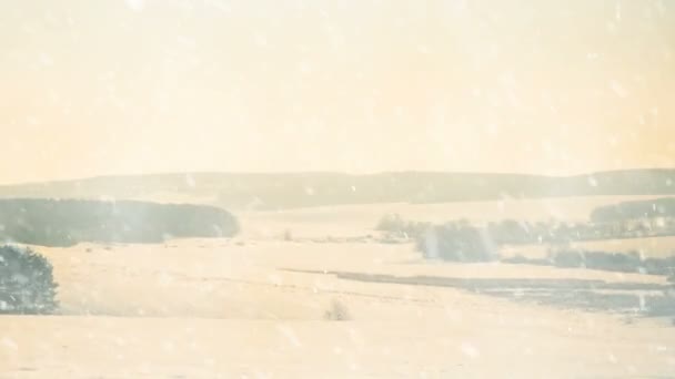 Απλό Χωράφι Και Λιβάδια Κατά Χειμερινή Σεζόν Χιονοπτώσεις — Αρχείο Βίντεο