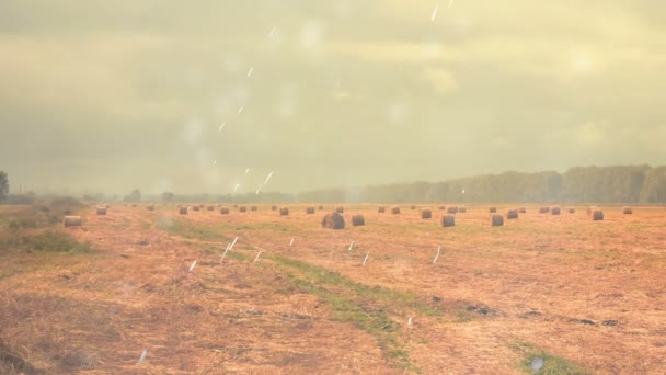 Otoño Temporada Coudy Día Granja Campos Con Pajar Bajo Lluvia — Vídeos de Stock