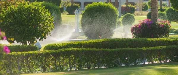 Irrigatiesysteem Tropisch Park Bij Zonsondergang Zomer — Stockfoto