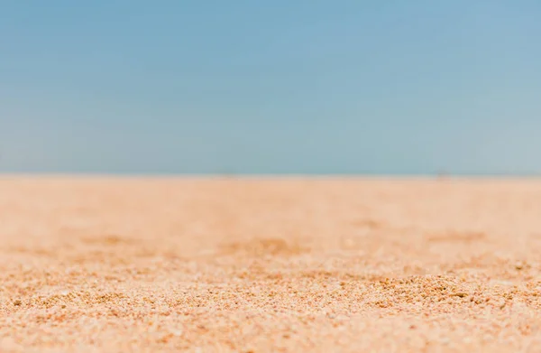 sunny sand beach with horizon line background