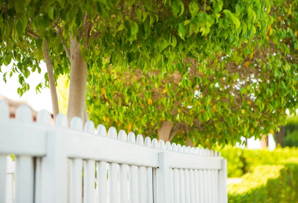 yaz parkı beyaz ahşap çit boyunca görünümü