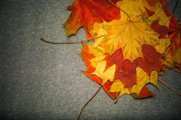 Farbenfrohe Herbstblätter Über Grauen Stoffstrukturen — Stockfoto