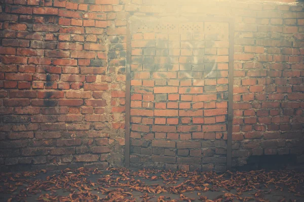 Backyard Brick Wall Place Fallen Faded Leafs Ground — Stock Photo, Image