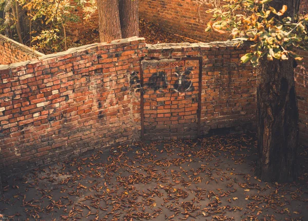 Vintage Urban Backyard Fenced Brick Wall Covered Fallen Autumn Leafs — Stock Photo, Image