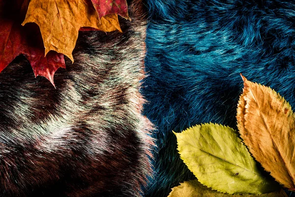 Luxo Duas Cores Textura Tecido Pele Com Folhas Outono Sobre — Fotografia de Stock