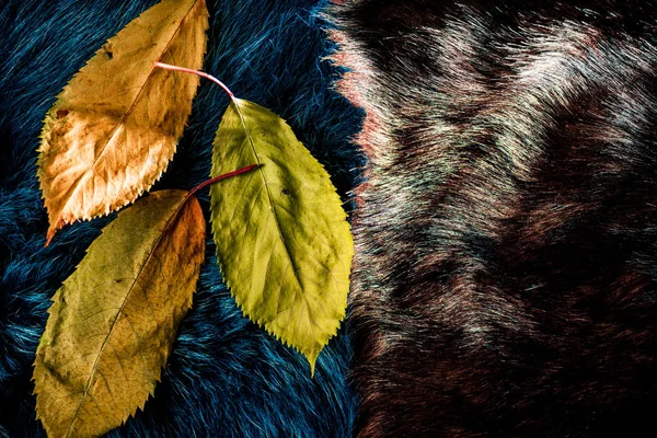 Luxe Twee Kleuren Bont Stof Textuur Met Herfst Bladeren Het — Stockfoto