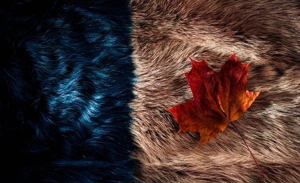 luxury two colors fur fabric texture with maple leaf on surface
