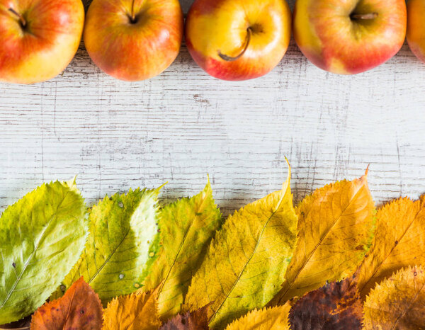 fallen colorful autumn leafs and apples over vintage white wooden surface