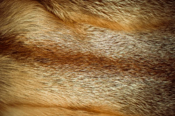 Luxusní Liščí Kožešinová Textura Mnohobarevnými Odrazy Povrchu — Stock fotografie