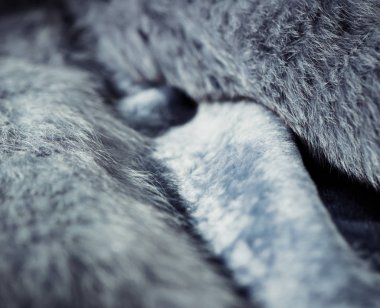 Yüzeyde yansımaları olan doğal mavi yumuşak kürk teknisyeni