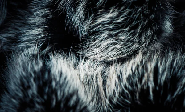 Abstract Fur Surface Shapes Reflection Texture — Stock Photo, Image