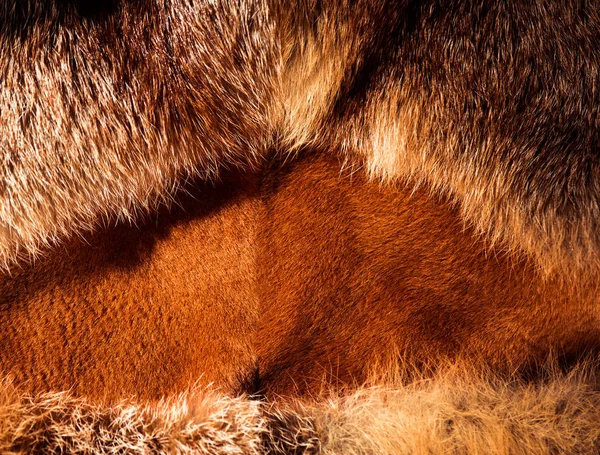 Texture Naturale Pelliccia Volpe Con Forma Beetween Lana — Foto Stock
