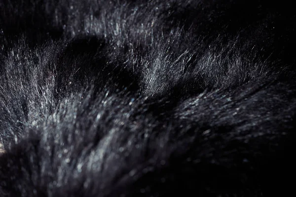 Natural Black Soft Fur Tecture Reflections Surface Closeup — Stockfoto