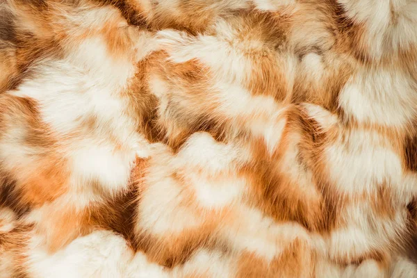 Natural Soft Beautiful Fur Tectured Surface Closeup — Stock Photo, Image