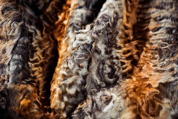 Abstract Multicolor Fur Texture Reflecttion Wool Surface — Stock Photo, Image