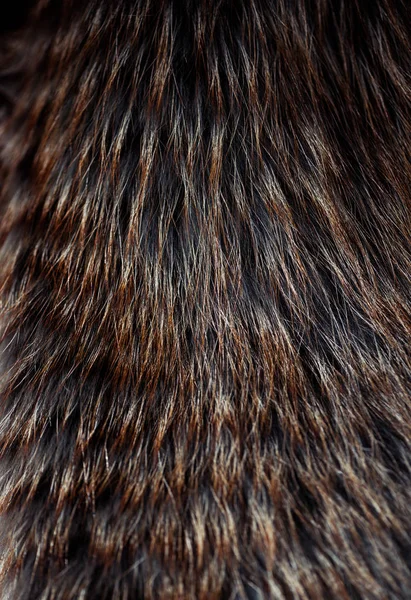 Abstract Multicolor Fur Texture Reflecttion Wool Surface — Stock Photo, Image