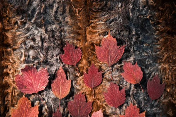 Tessuto Pelliccia Texture Con Foglie Autunnali Rosse Sulla Superficie — Foto Stock