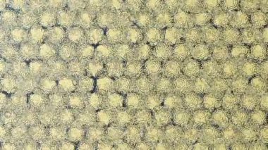 Soyut renkli dokunun bal peteği yüzeyinde döngü hareketi