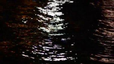 Yaz gecesinde deniz suyu yüzeyinde yanıp sönen ışıklar.