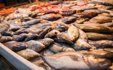 Balık pazarındaki raflarda buzda taze tutulan deniz balıkları.