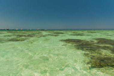 Dalgalı yüzeyin altındaki mercanlarla açık kızıl deniz suyu deniz ufkuna