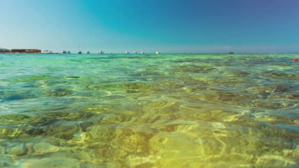 Прозоре Червоне Море Махає Поверхнею Води Коралами Під Блискучою Поверхнею — стокове відео