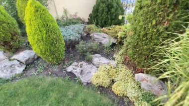 Dekoratif bahçe bahçesi yaz günbatımında tasarım elementleriyle