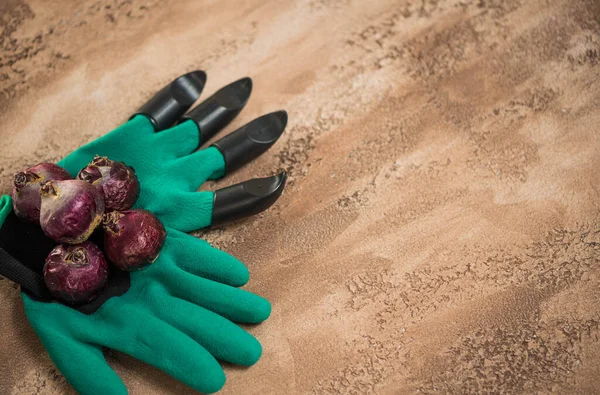 Blommor Och Trädgårdsredskap Över Abstrakt Strukturerad Bakgrundsyta — Stockfoto